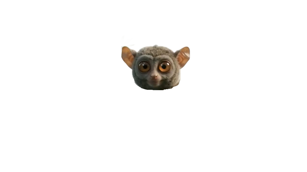 Tarsi